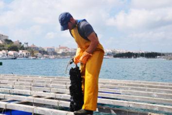 Daisy on the Ohoopee